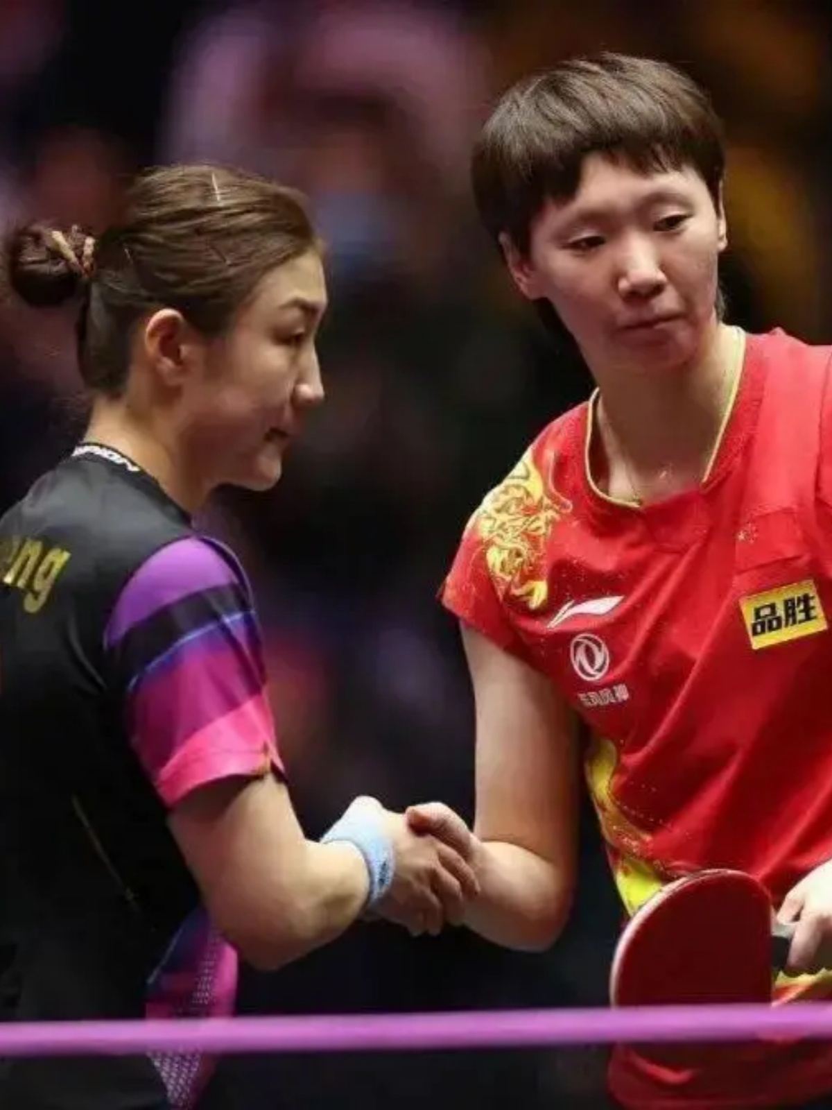 IM体育数据分析平台-比利时乒乓球队强势法国乒乓球队，张本智和制霸全场